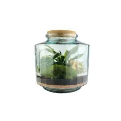 Terrarium autonome Napoli M botanic® - Ø 23 x 25 cm