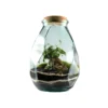 Terrarium autonome Origami L botanic® - Ø 22 x 37 cm