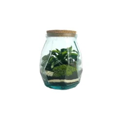 Terrarium autonome Origami M botanic® - Ø 17 x 21 cm