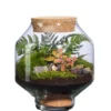 Terrarium autonome Solu L botanic® - Ø 10,5-21 x 23,5 cm