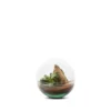 Terrarium Bulle de Nature Mini Monde en verre transparent Naturalys taille S - Ø 12 x 12 cm