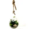 Terrarium Drop en verre transparent à suspendre Naturalys taille L - Ø 20 x 40 cm