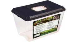 Terrarium en plastique coloris noir Reptile Planet Repti Tank - Taille L 32,5 x 21 x 20 cm