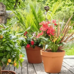 Terreau agrumes et plantes méditerranéennes botanic®