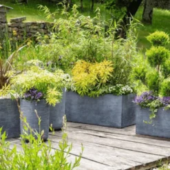Terreau arbres et arbustes botanic®
