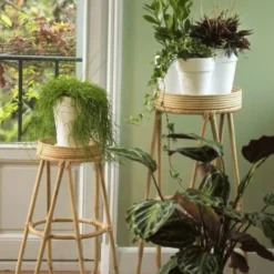 Terreau plantes d'intérieur