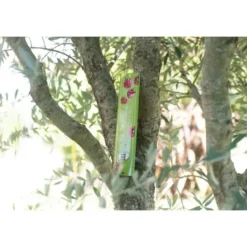 Thermomètre vert en tôle peinte à motif Poivrons rouges 30 cm