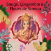 Thé Je suis Shoti Maa bio - 16 x 2 g