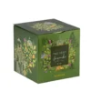 Thé vert gingembre bio aux 2 citrons Plantasia - 24 sachets