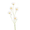 Tige de cosmos blanc rose à 5 fleurs 2 boutons - 91 cm