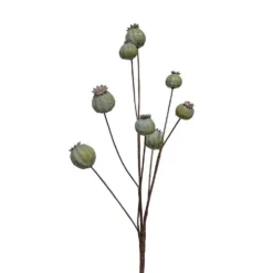 Tige de pavots verte en silicone Naturalys - 66 cm