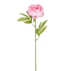 Tige de pivoine artificielle en plastique recyclé rose - 67 cm