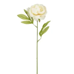 Tige de pivoine artificielle en plastique recyclé crème - 67 cm
