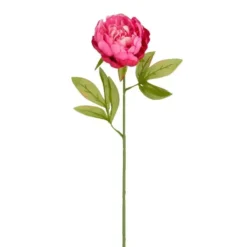 Tige de pivoine artificielle en plastique recyclé fuchsia - 67 cm