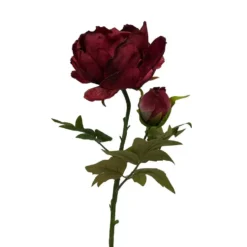 Tige de pivoine rouge en papier aspect fleur séchée Naturalys - 62 cm