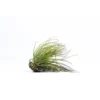 Tillandsia magnusiana vert 10 cm