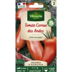 Tomate Cornue des Andes Vilmorin - graines à semer