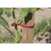 25 tomato clips rouge