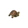 Tortue verte 28cm