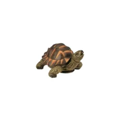 Tortue verte 28cm