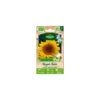 Tournesol Royan Nain Bio Vilmorin - graines à semer