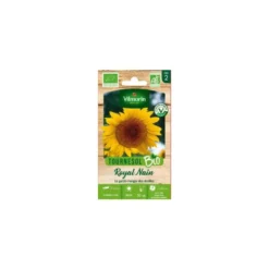 Tournesol Royan Nain Bio Vilmorin - graines à semer