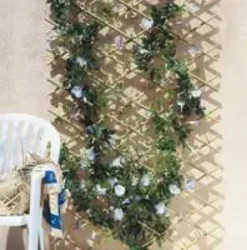 Treillis extensible en bambou, 100 x 200 cm