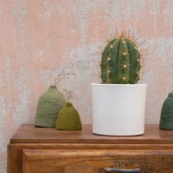 Trichocereus pasacana en pot blanc émaillé H 20 x Ø 20 cm