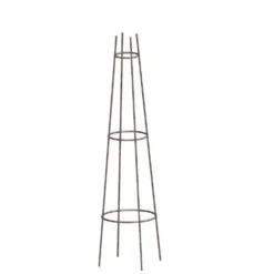 Tuteur Grimpantes Métal H120xØ33 cm