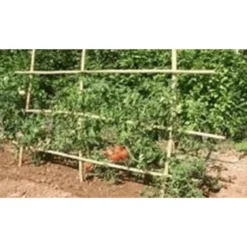 Tuteurs tomates 180 cm