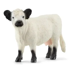 Vache Galloway multicolore Schleich - 13.3 cm