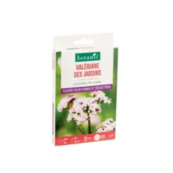 Valériane des jardins botanic® - graines à semer (3 m²)
