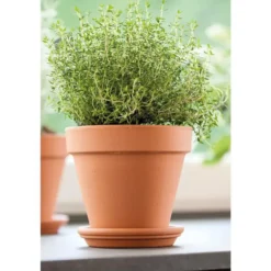 Vase brut rouge en terre cuite D.31 x H29