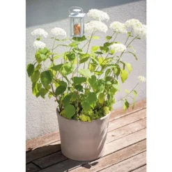 Vase Cilindrico Gris grafite en terre cuite D25 x H21