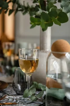 Verres à vin coloris transparent Toscane Vap – boîte de 6 x 29 cl