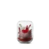 Verrine de végétaux stabilisés coloris rouge Naturalys Capsule - Ø 8 x H 12 cm