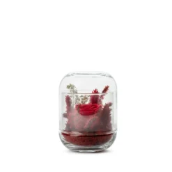 Verrine de végétaux stabilisés coloris rouge Naturalys Capsule - Ø 8 x H 12 cm