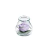 Verrine de végétaux stabilisés pivoine mauve lilas Naturalys Samy M - Ø 12 x H 12 cm