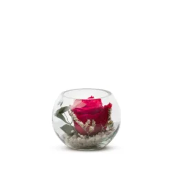 Verrine de végétaux stabilisés rose rouge et eucalyptus Naturalys Venezia 11 - Ø 11 x H 11 cm