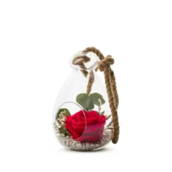 Verrine de végétaux stabilisés rose rouge et eucalyptus avec corde Naturalys Globe - Ø 12 x H 18 cm