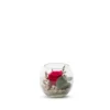 Verrine de végétaux stabilisés rose rouge et eucalyptus Naturalys Venezia 8 - Ø 8 x H 8 cm