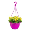 Viola Cornuta. La suspension de 27 cm