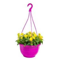 Viola Cornuta. La suspension de 27 cm