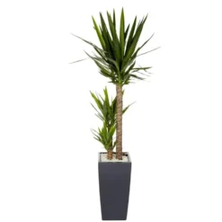 Yucca 3 tiges et son pot Cubico color Ø 30 gris