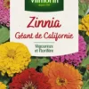 Zinnia Géant de Californie Vilmorin - graines à semer